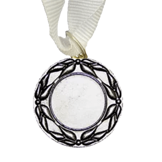 MED5 | Silver Medals 38mm X 25mm Recess