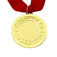 MED10| Medals 38mm X 25mm Recess