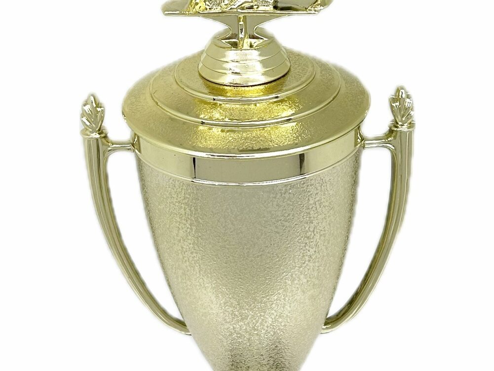 Karate Female Double Action Trophy 365mm