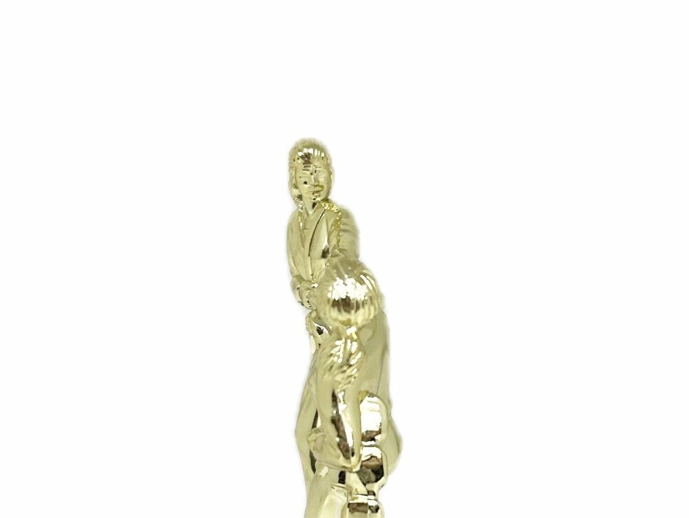 Karate Female Double Action Trophy 165mm