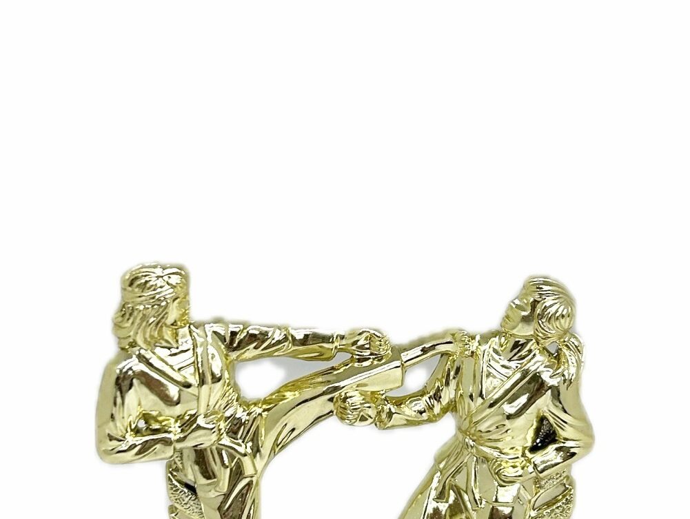 Karate Female Double Action Trophy 145mm