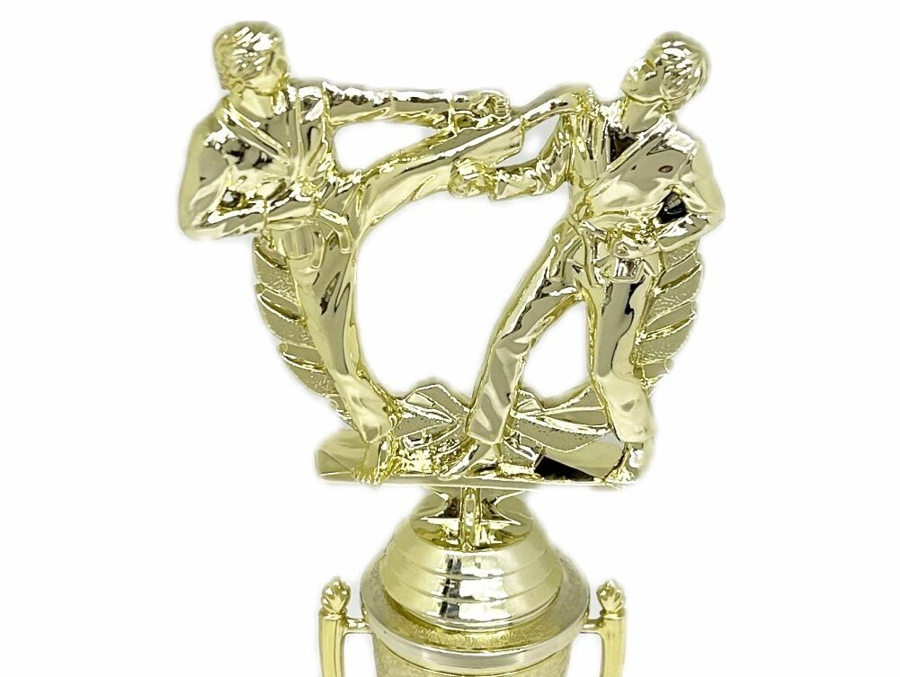 Karate Male Double Action Trophy 265mm