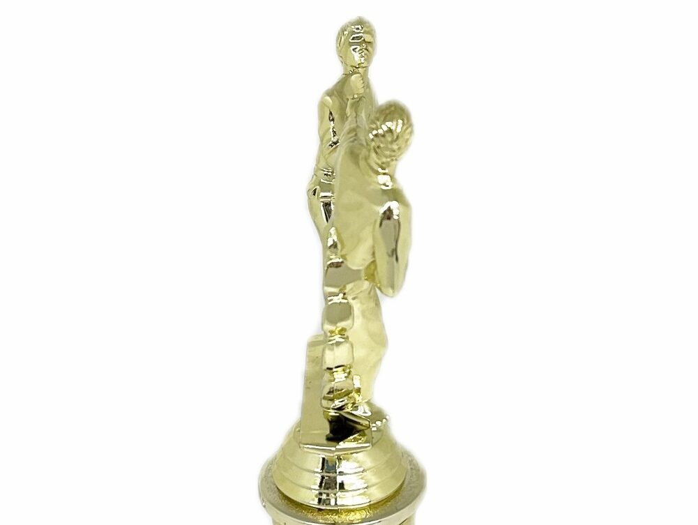 Karate Male Double Action Trophy 265mm