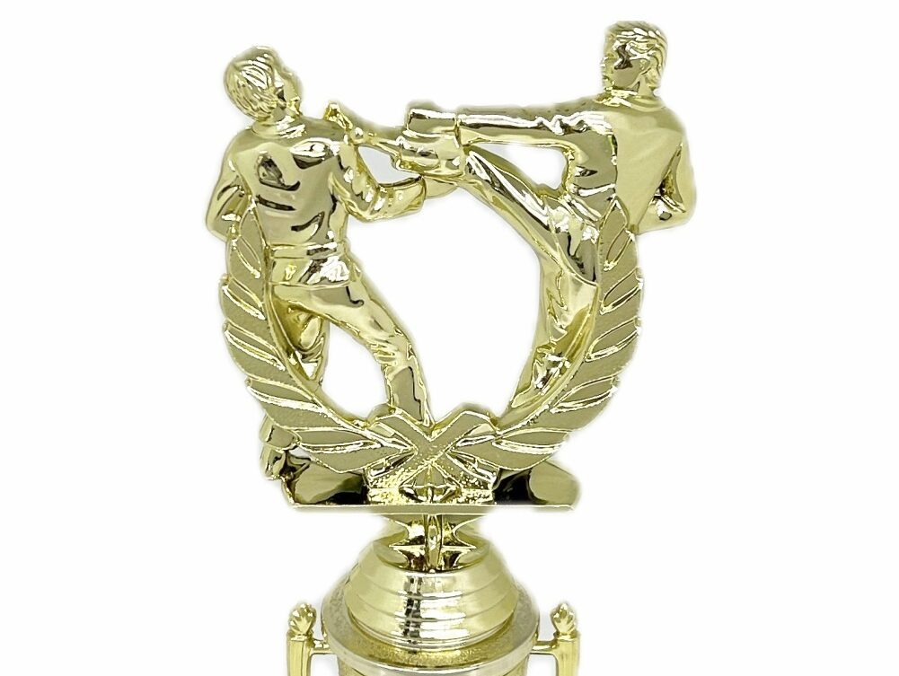 Karate Male Double Action Trophy 265mm