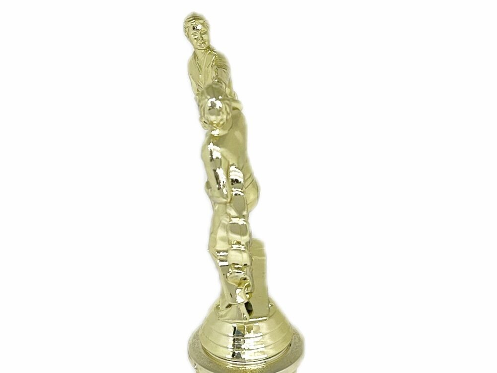 Karate Male Double Action Trophy 265mm