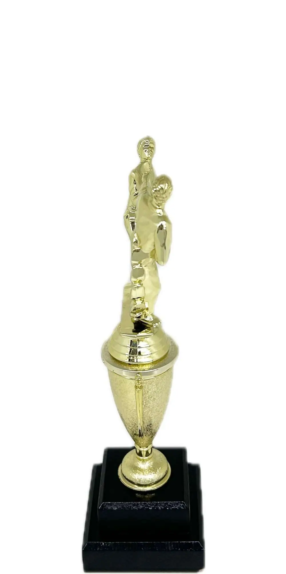 Karate Male Double Action Trophy 290mm