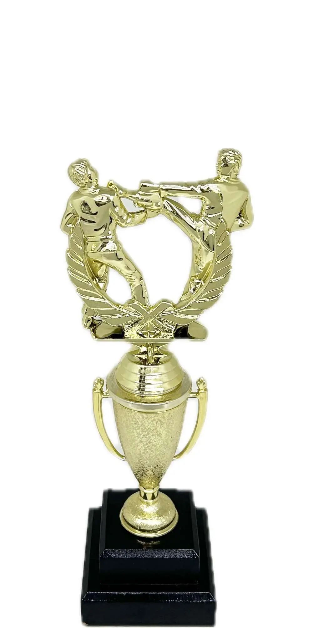 Karate Male Double Action Trophy 290mm