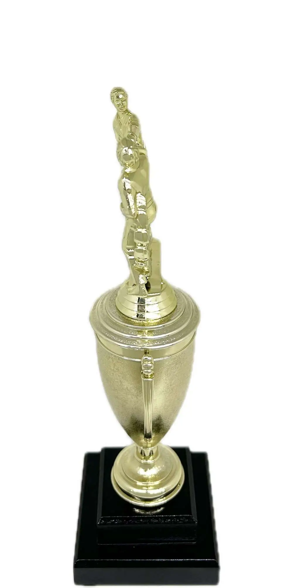 Karate Male Double Action Trophy 325mm