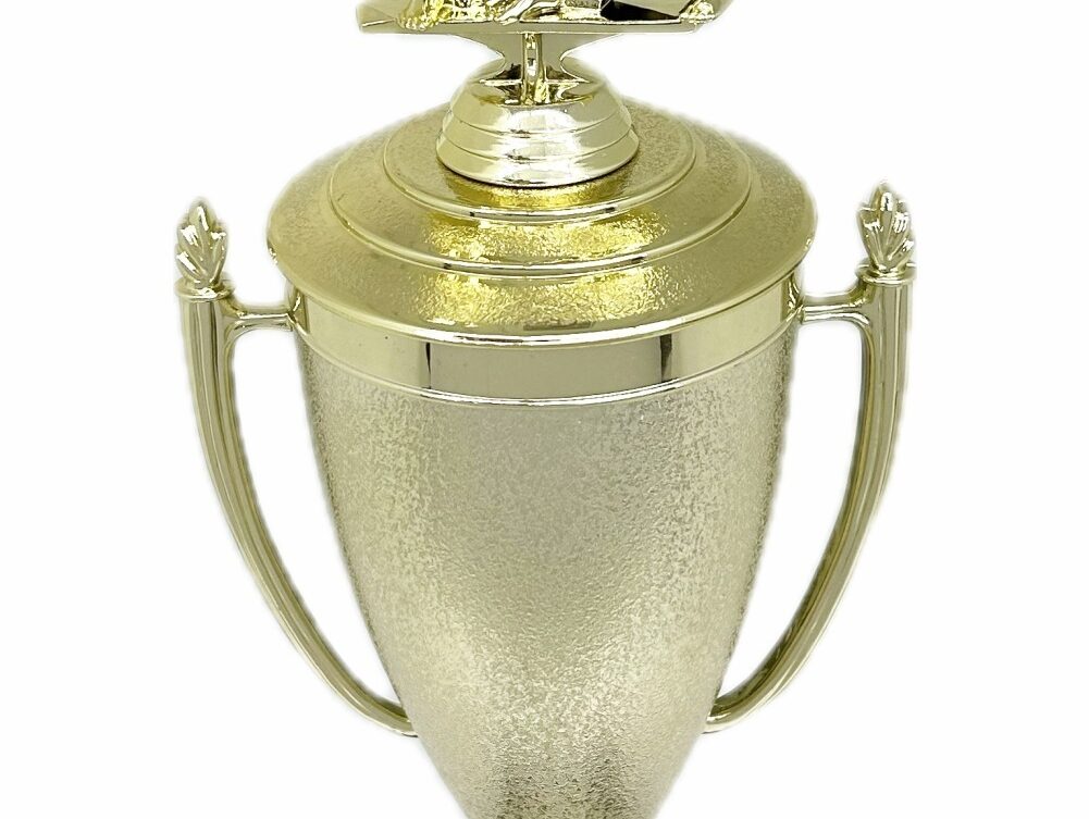 Karate Male Double Action Trophy 365mm