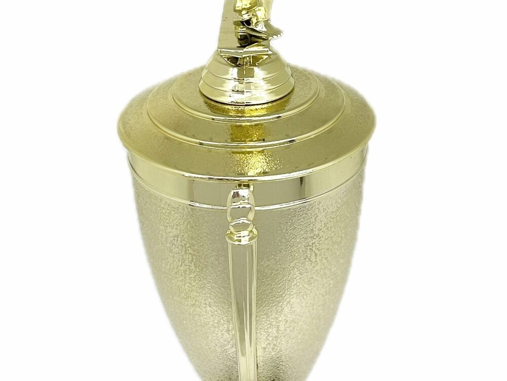 Karate Male Double Action Trophy 365mm