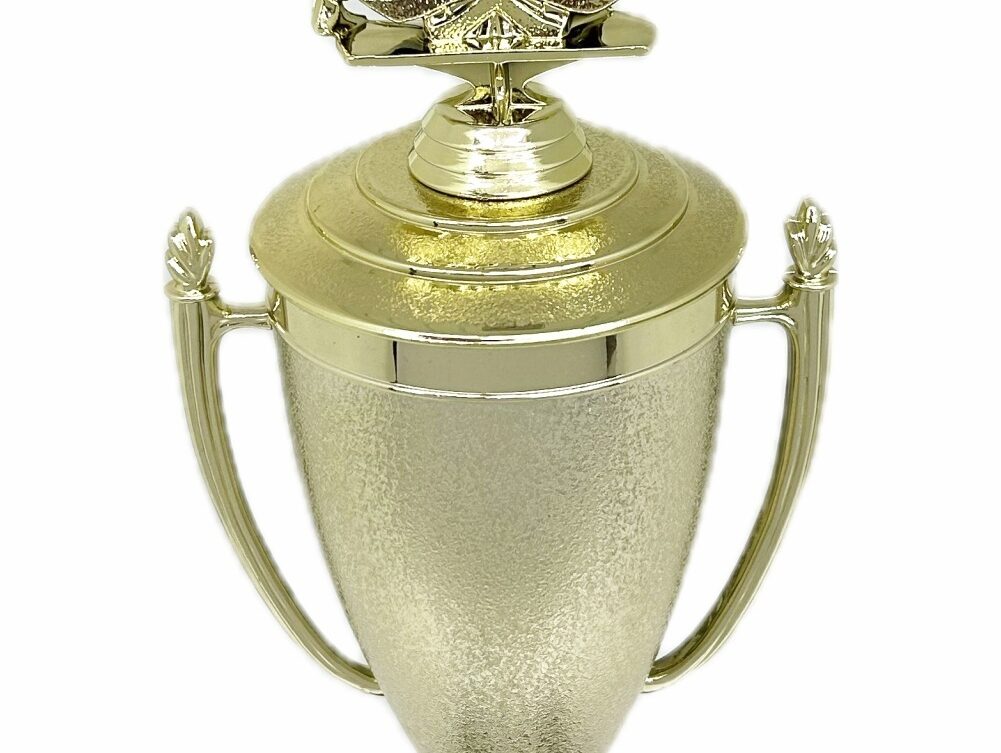Karate Male Double Action Trophy 365mm