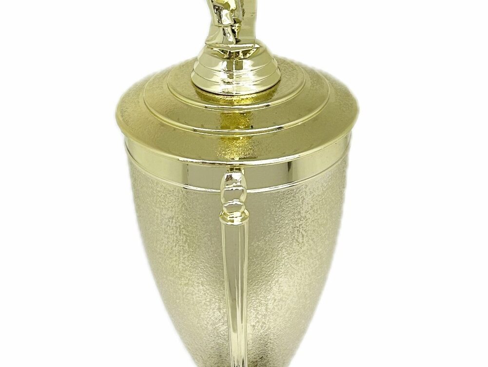 Karate Male Double Action Trophy 365mm