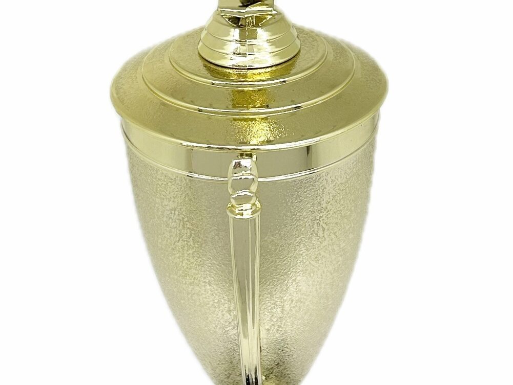 Karate Male Double Action Trophy 405mm