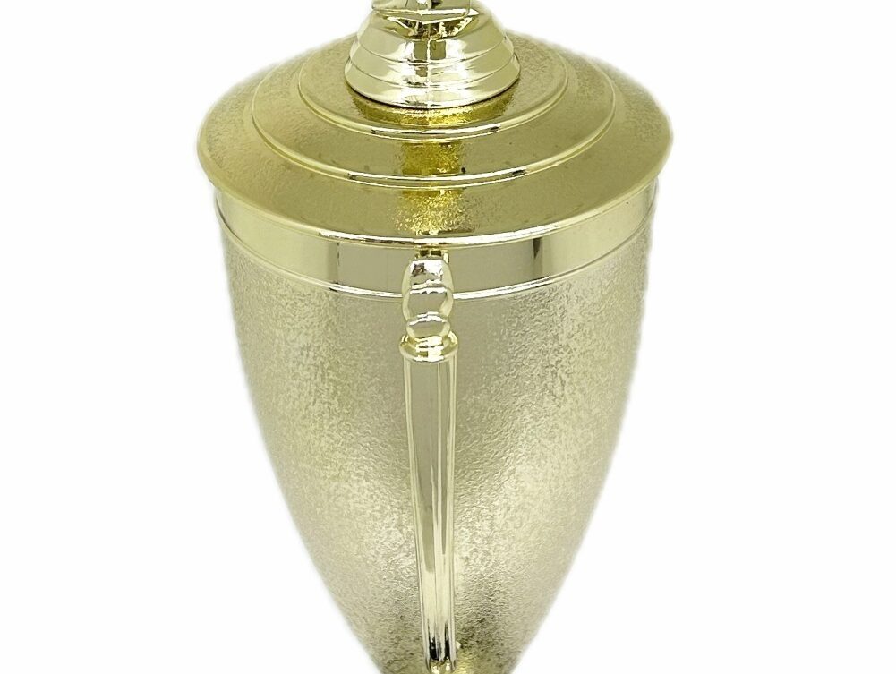 Karate Male Double Action Trophy 405mm