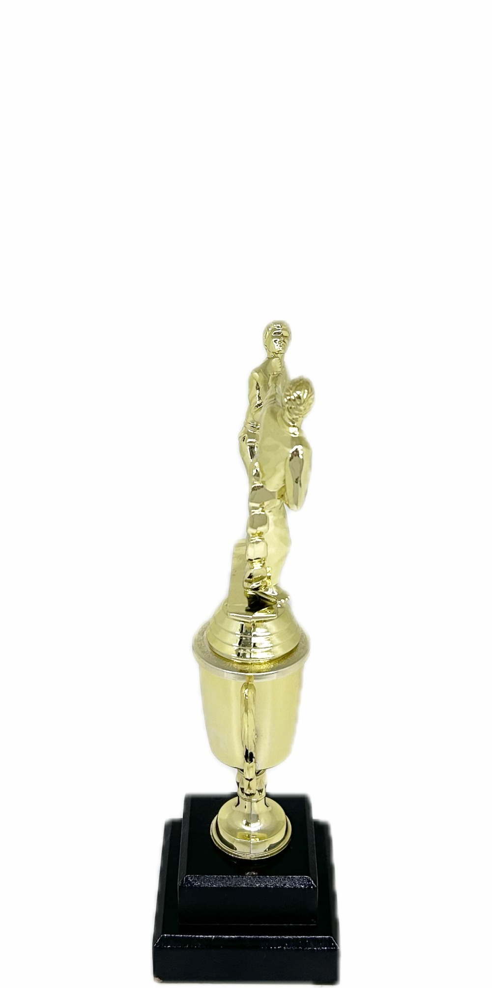 Karate Male Double Action Trophy 265mm