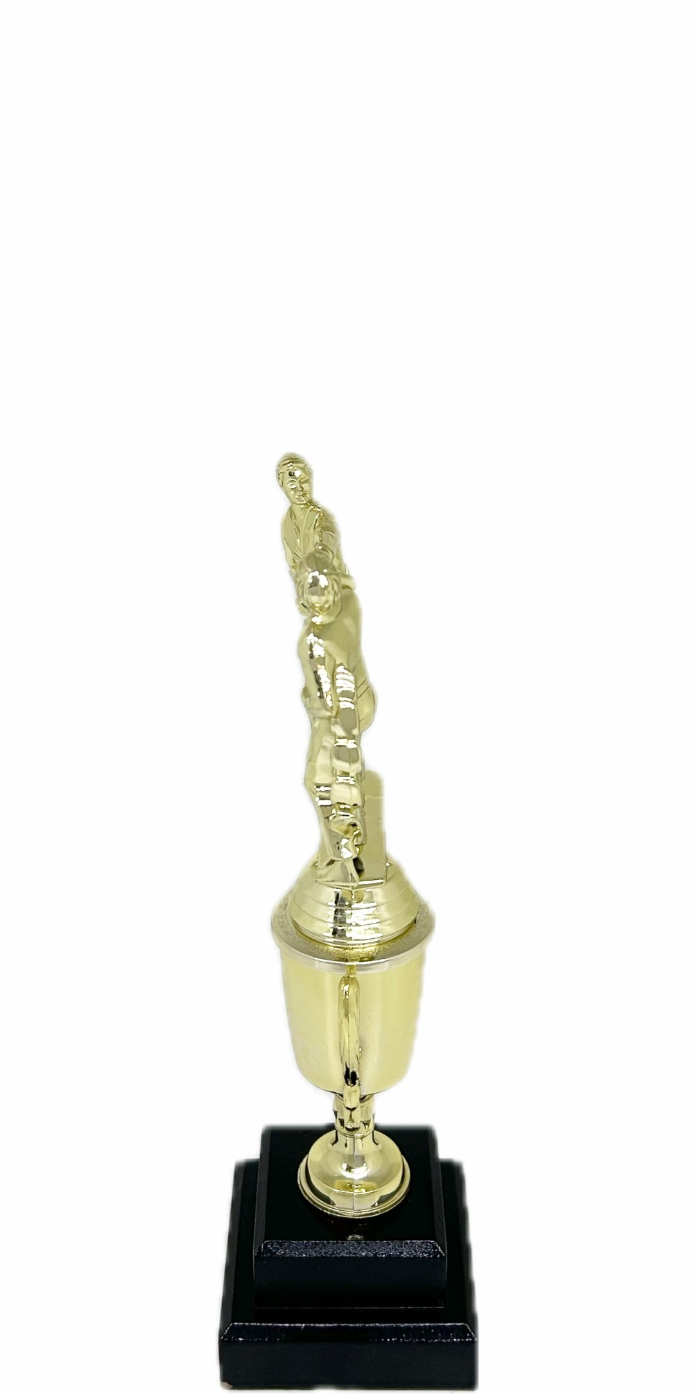 Karate Male Double Action Trophy 265mm