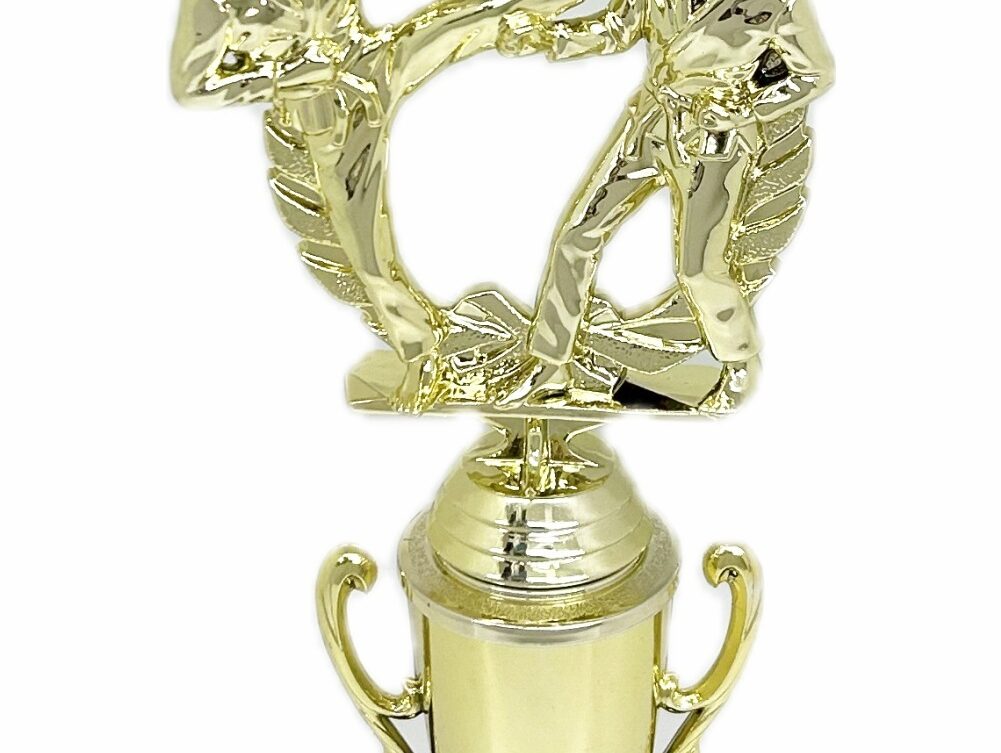 Karate Male Double Action Trophy 290mm