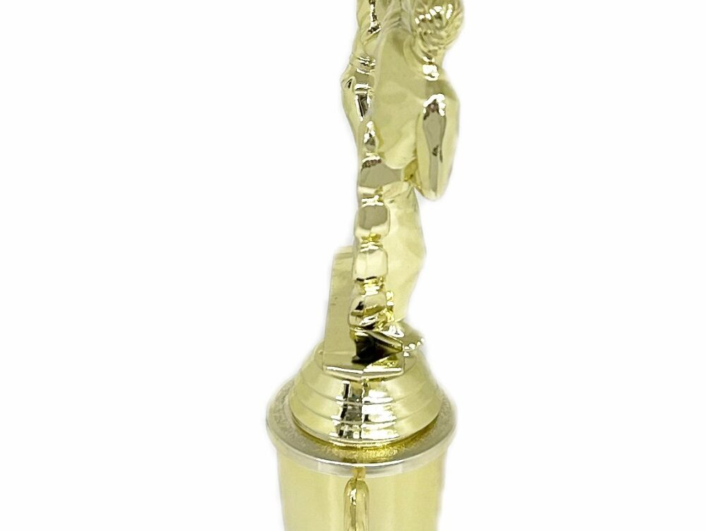 Karate Male Double Action Trophy 290mm