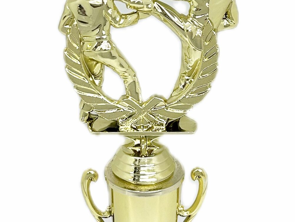 Karate Male Double Action Trophy 290mm