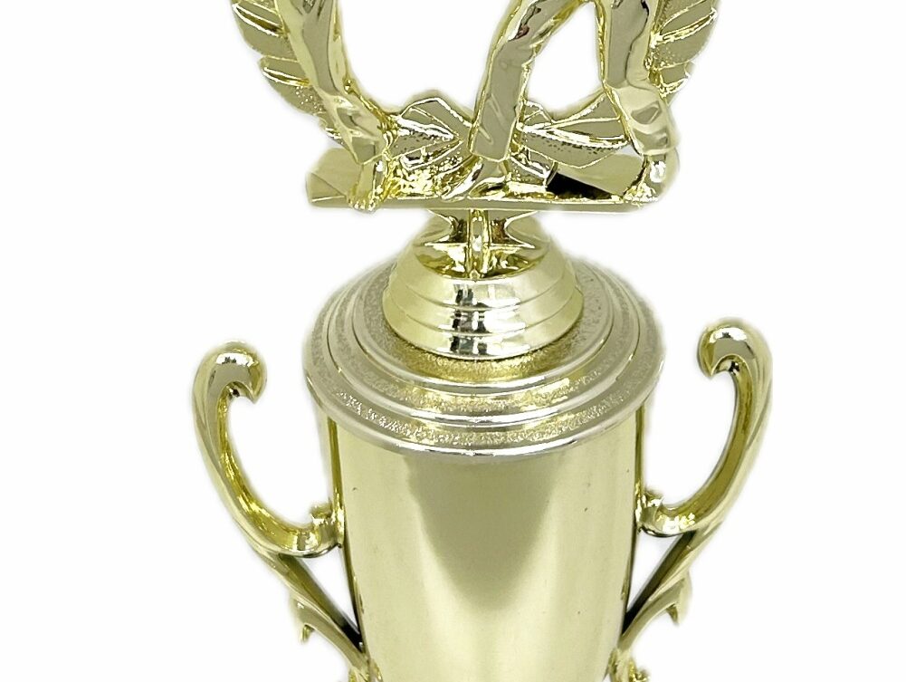 Karate Male Double Action Trophy 325mm