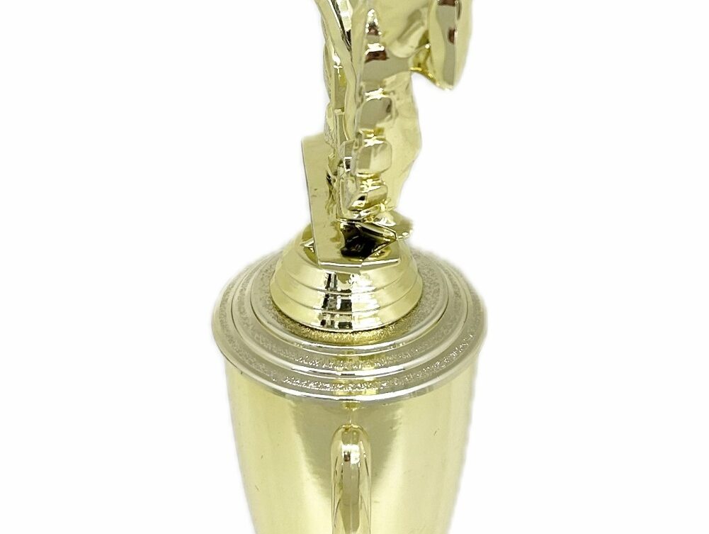 Karate Male Double Action Trophy 325mm