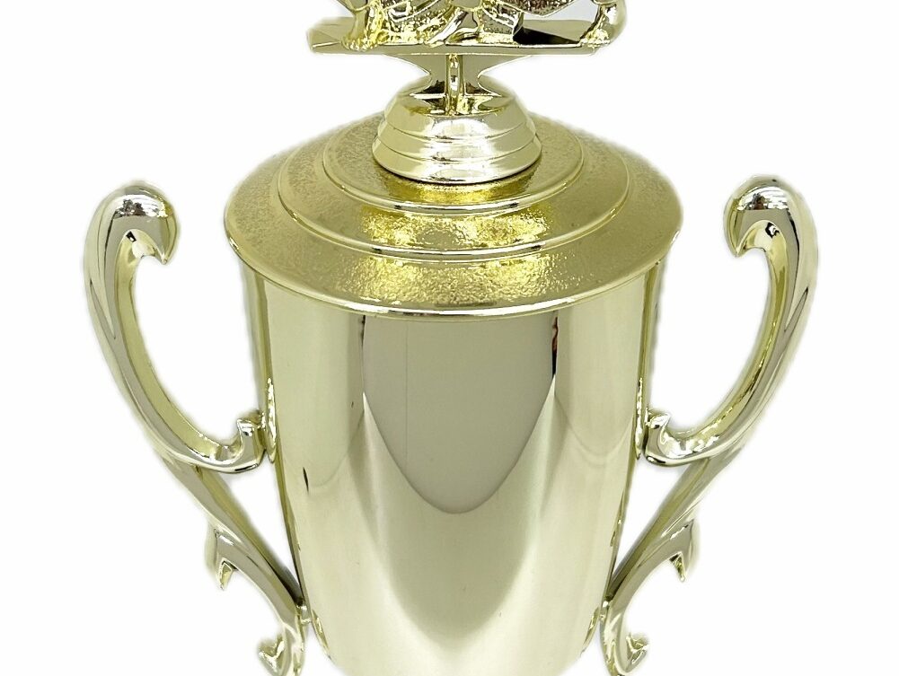 Karate Male Double Action Trophy 365mm