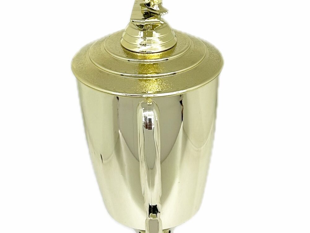 Karate Male Double Action Trophy 365mm