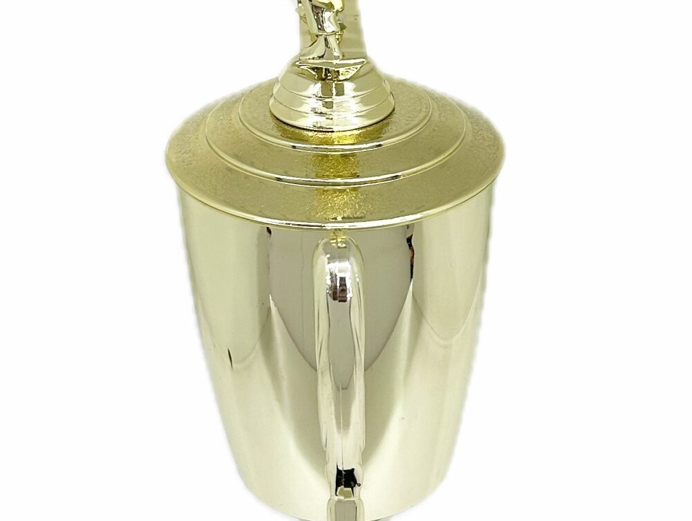 Karate Male Double Action Trophy 365mm