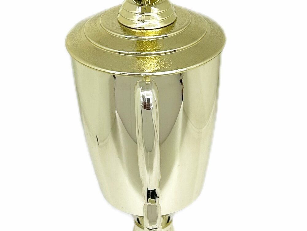 Karate Male Double Action Trophy 405mm