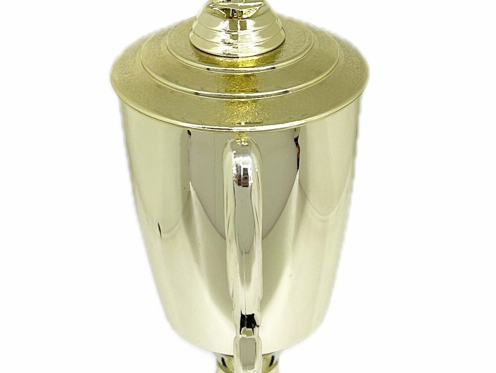 Karate Male Double Action Trophy 405mm
