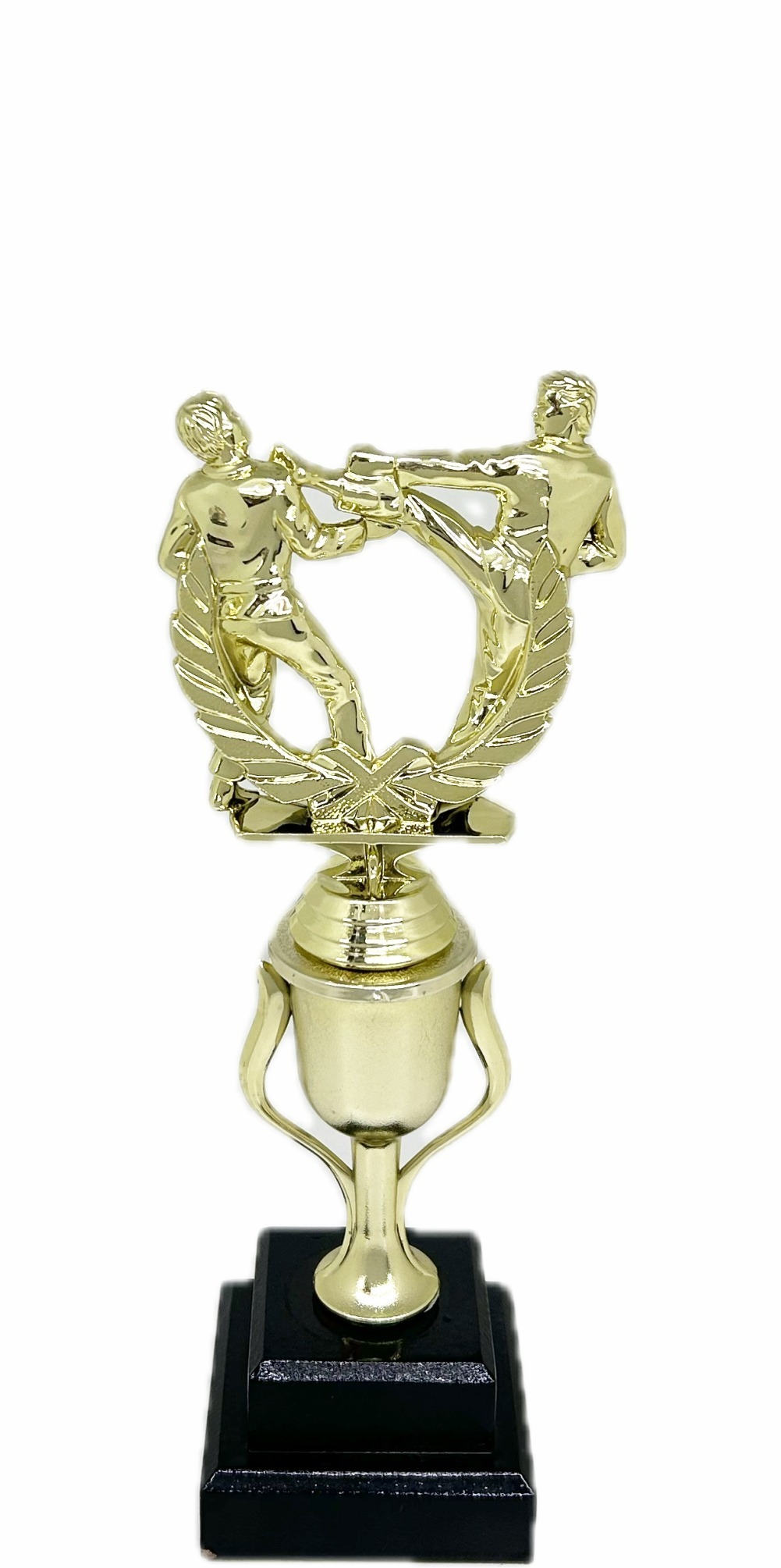 Karate Male Double Action Trophy 290mm