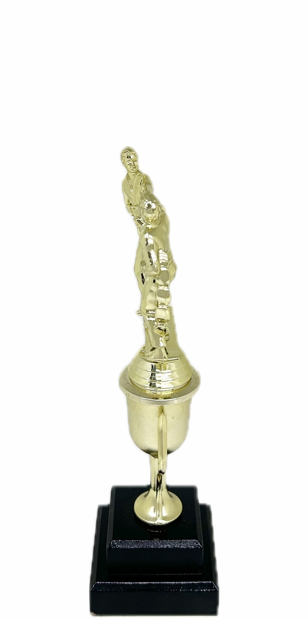 Karate Male Double Action Trophy 290mm