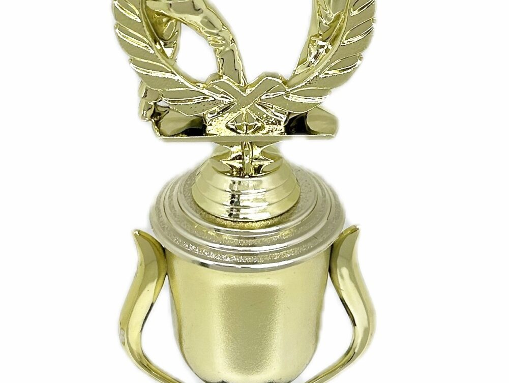 Karate Male Double Action Trophy 325mm