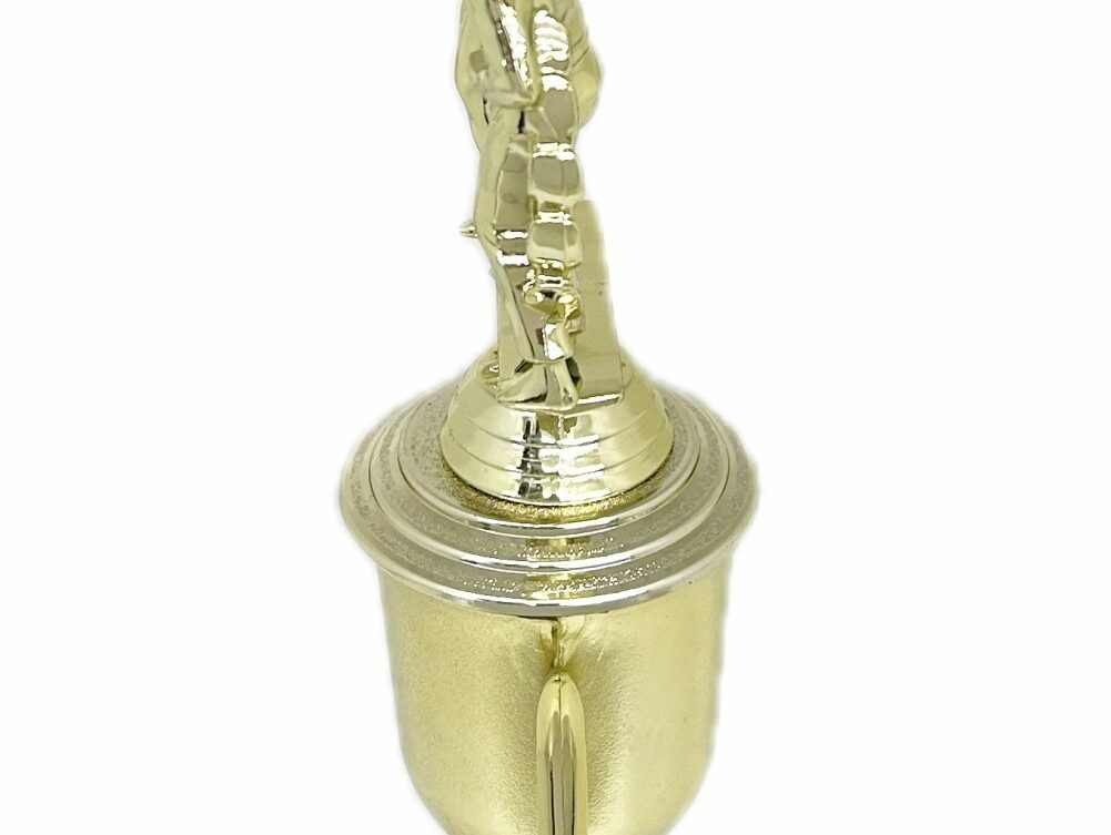 Karate Male Double Action Trophy 325mm