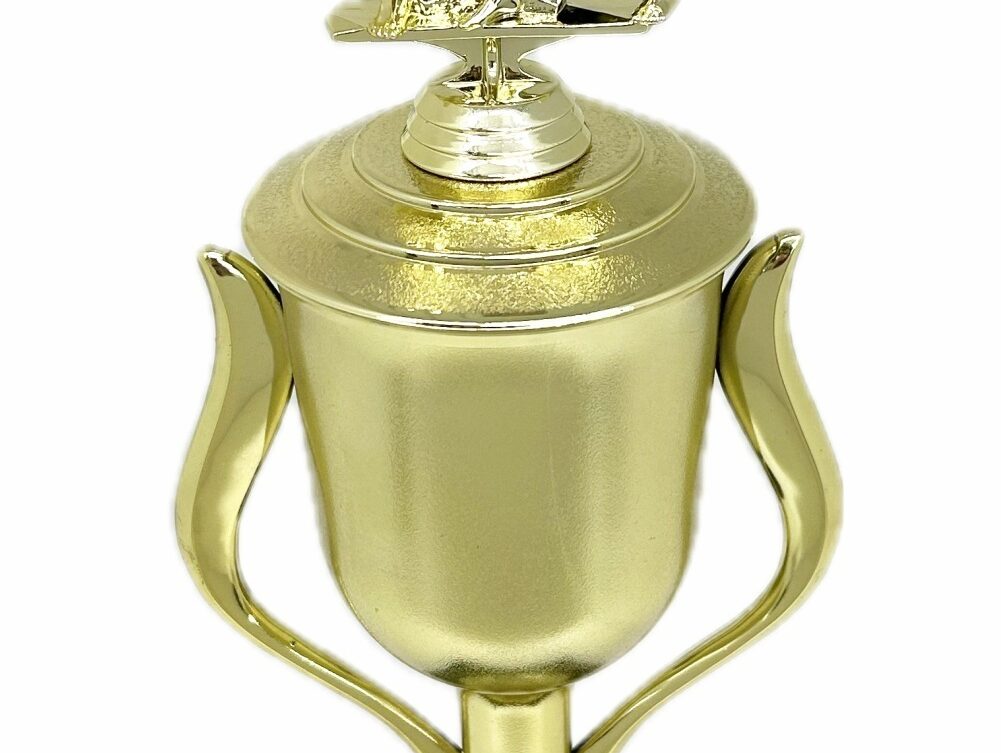 Karate Male Double Action Trophy 365mm