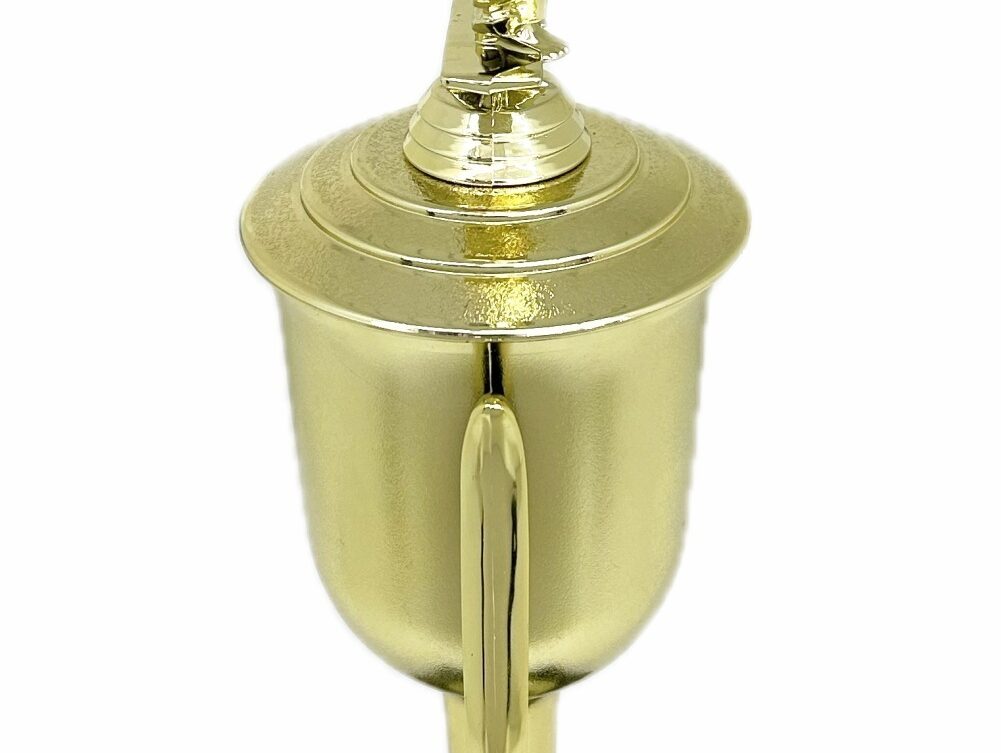 Karate Male Double Action Trophy 365mm