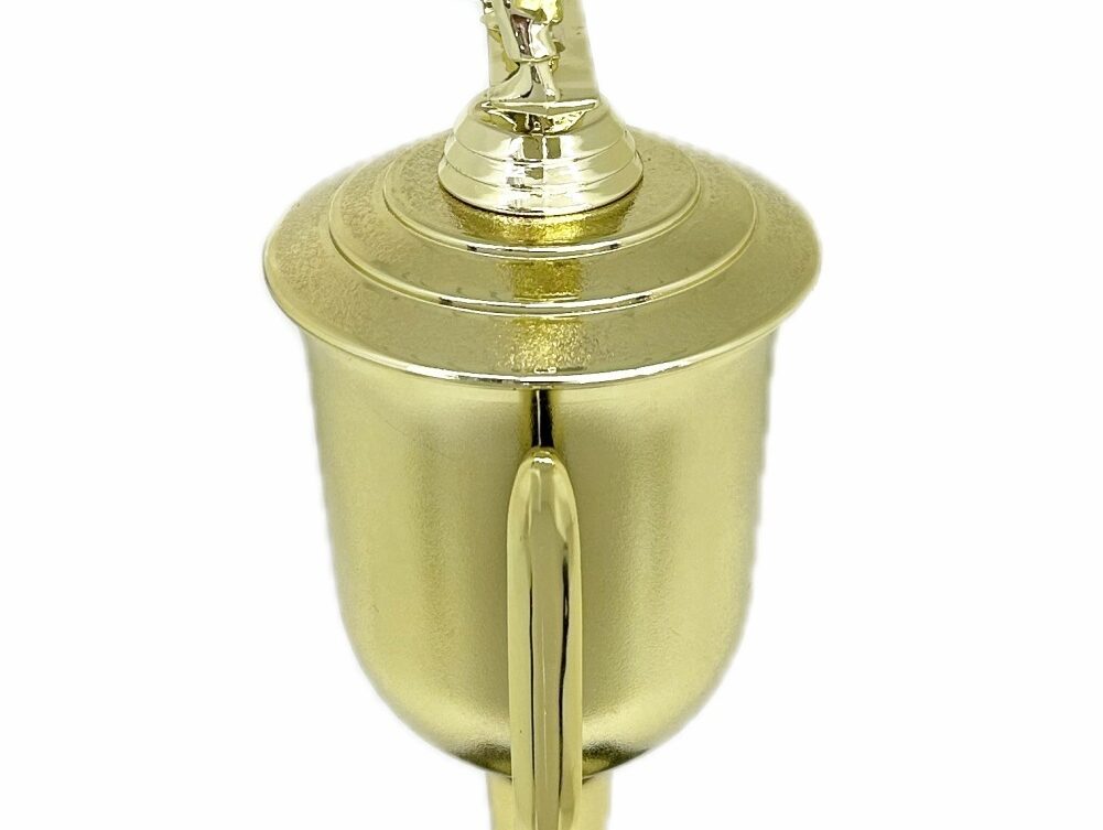 Karate Male Double Action Trophy 365mm