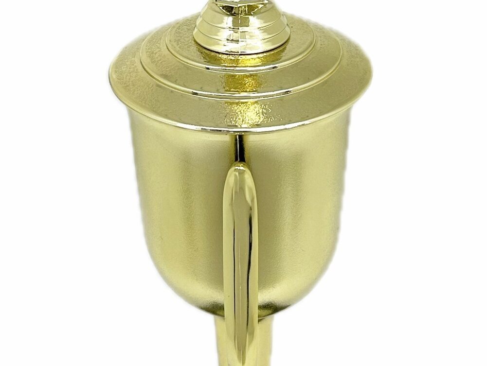 Karate Male Double Action Trophy 405mm