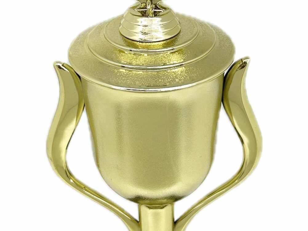 Karate Male Double Action Trophy 405mm