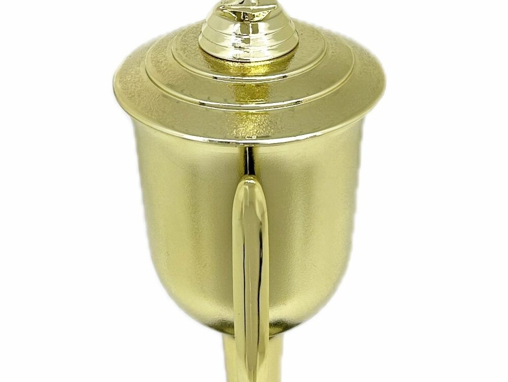Karate Male Double Action Trophy 405mm