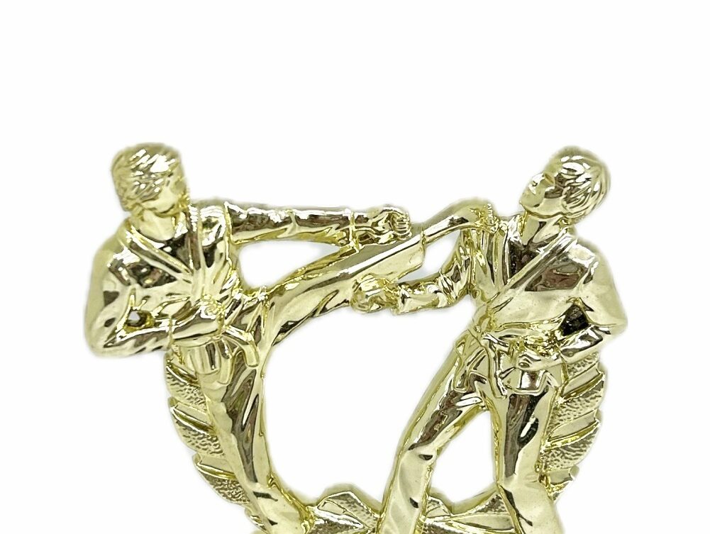 Karate Male Double Action Trophy 165mm