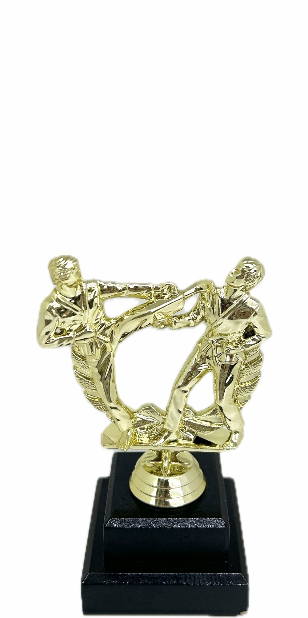 Karate Male Double Action Trophy 165mm