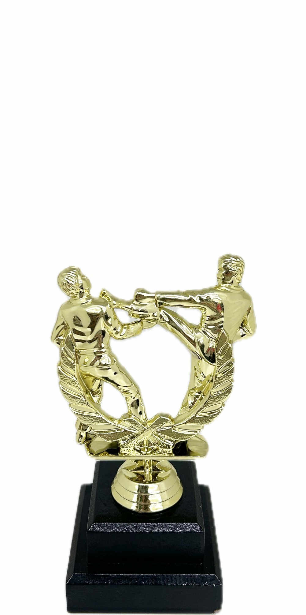 Karate Male Double Action Trophy 165mm