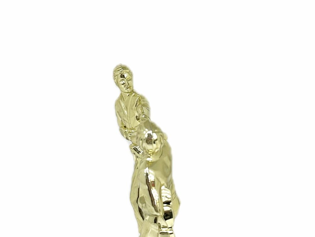 Karate Male Double Action Trophy 165mm