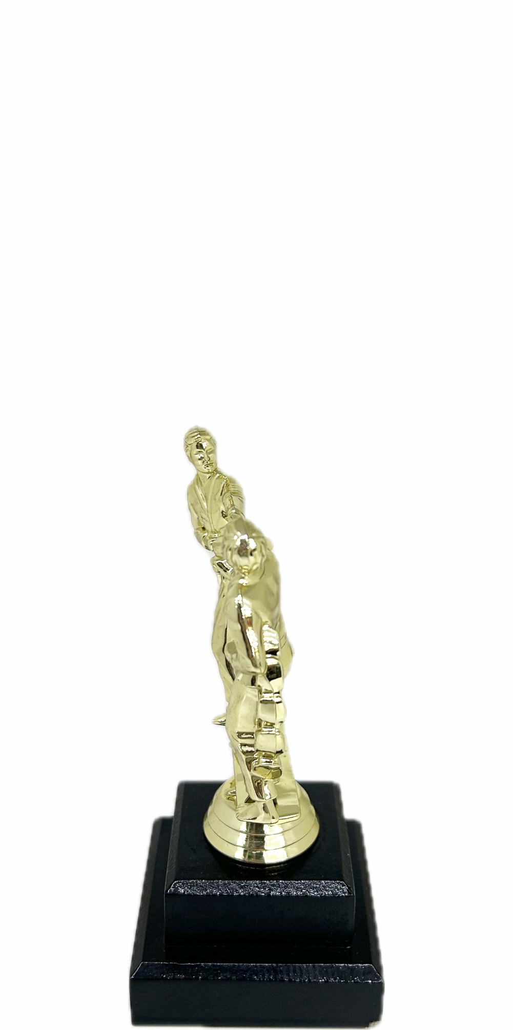 Karate Male Double Action Trophy 165mm