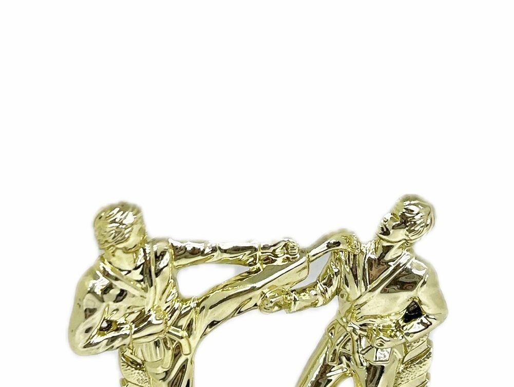 Karate Male Double Action Trophy 145mm