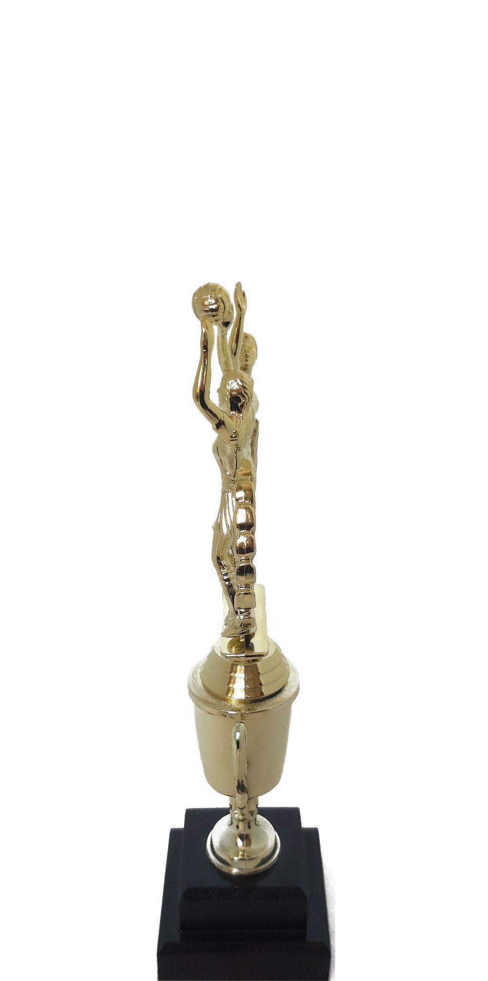 Netball Double Action Trophy 295mm