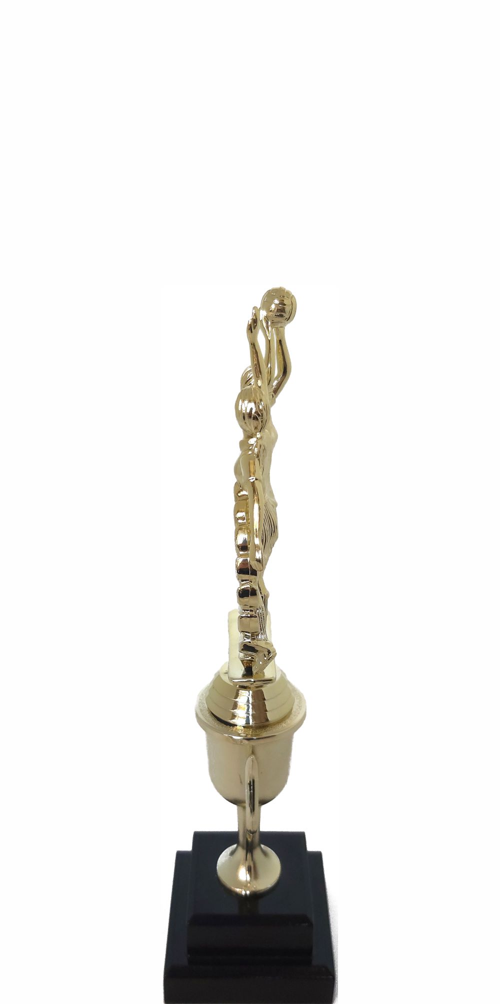 Netball Double Action Trophy 295mm