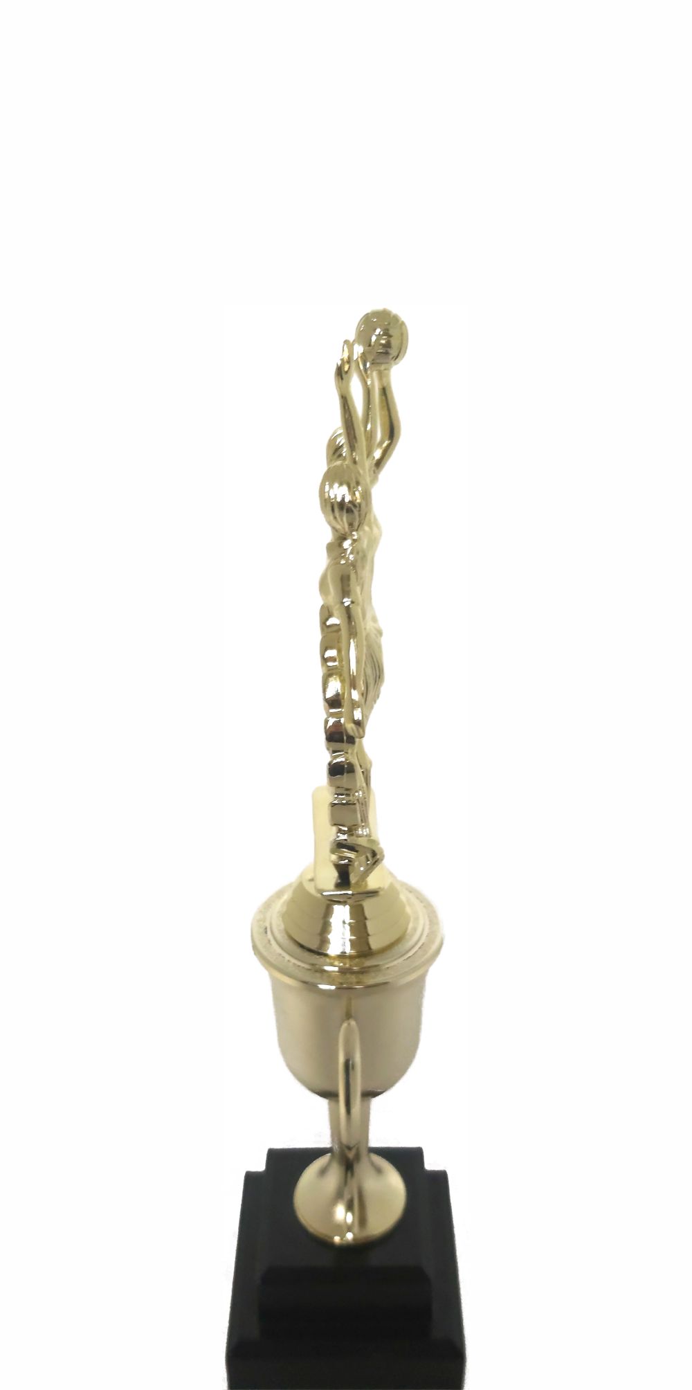 Netball Double Action Trophy 320mm