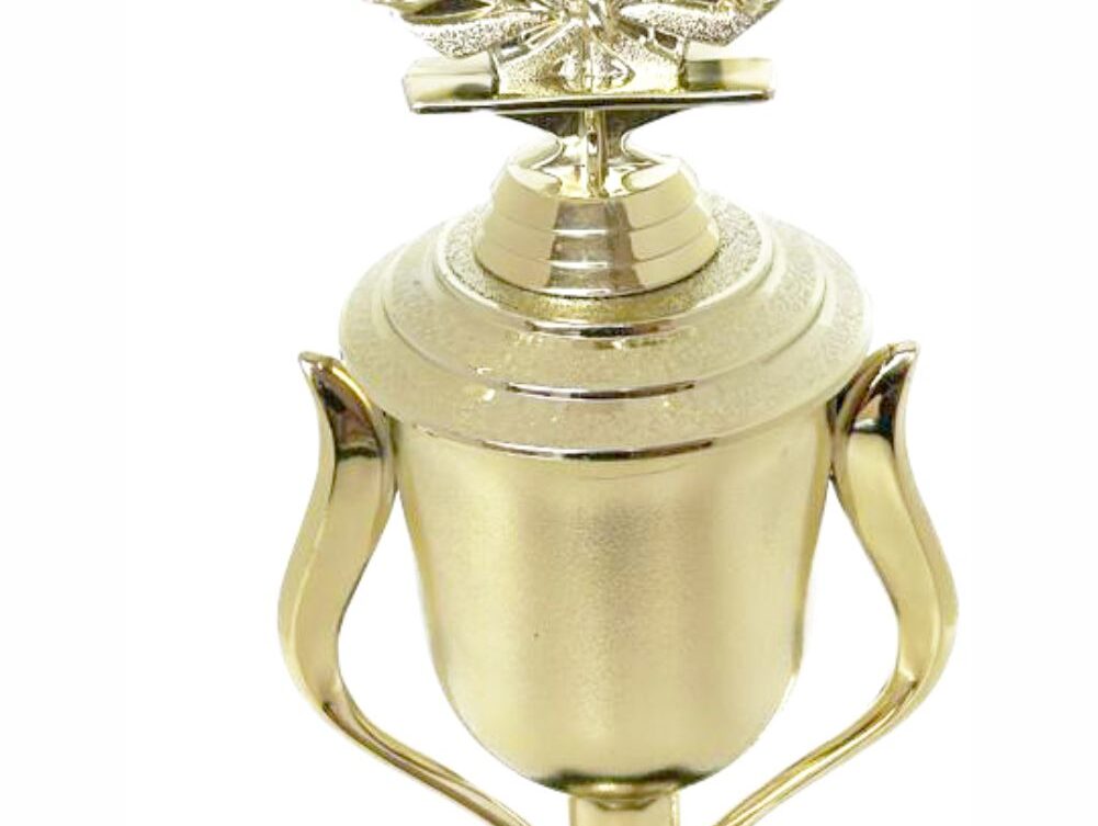Rugby Tackle Trophy 350mm